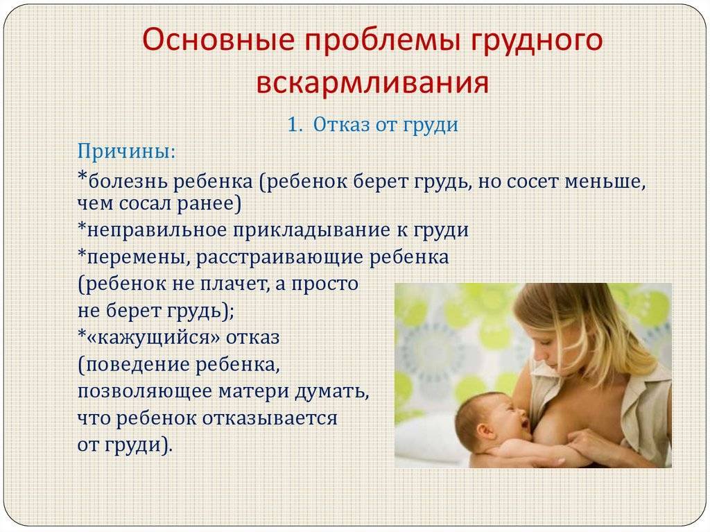 Почему ребенок плачет во время кормления?