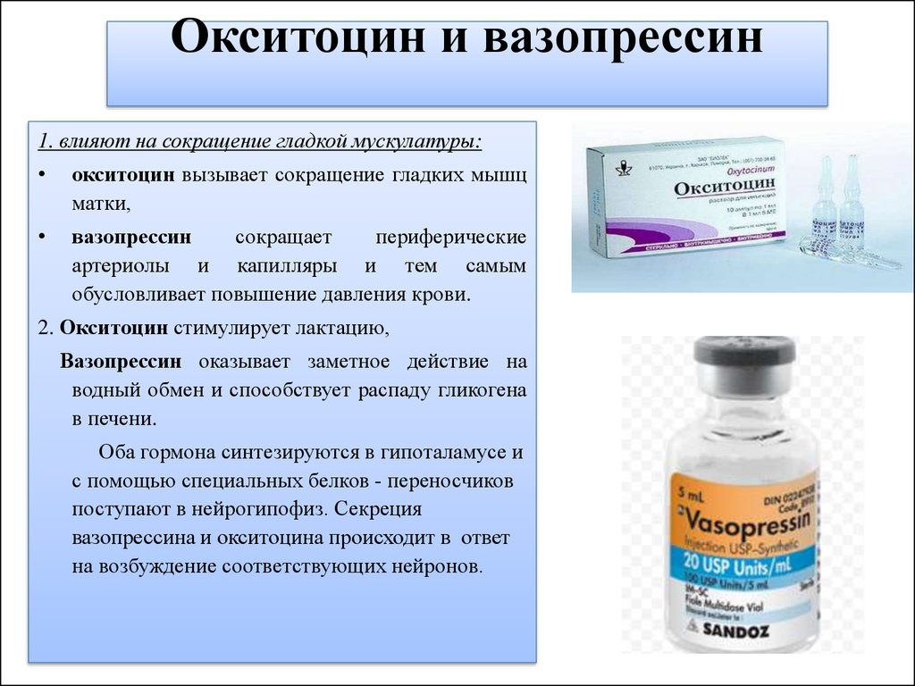 Гипоксия плода – диагностика и лечение по неделям беременности, последствия для головного мозга, почек, легких и других органов. профилактика