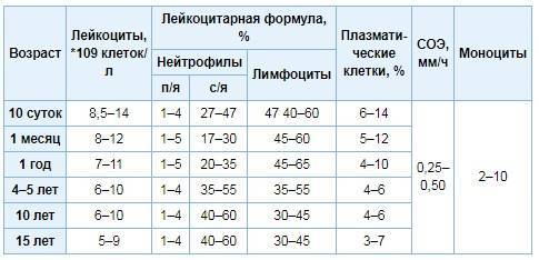 Норма лейкоцитов в крови таблица по возрасту