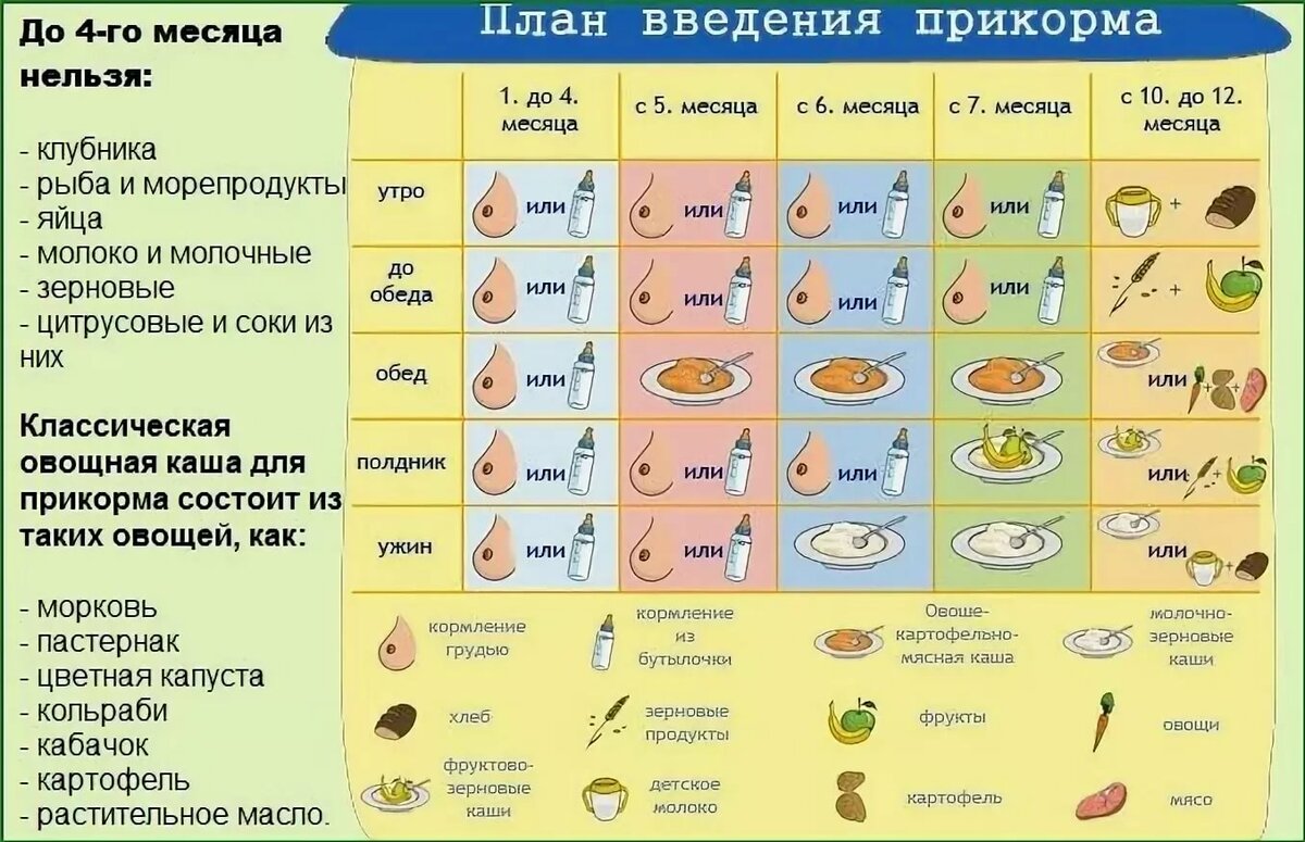 Ребенок не ест прикорм в 7, 8, 9, 10 месяцев: что делать, комаровский | house-fitness.ru