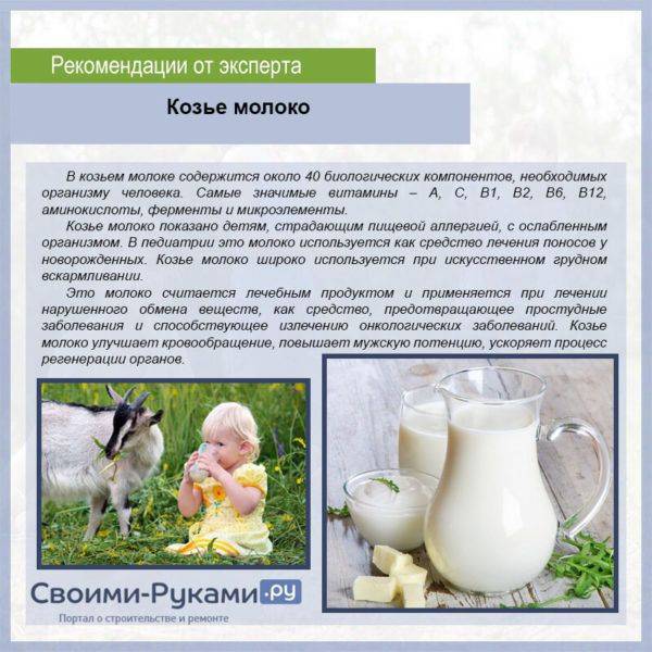 Козье молоко для грудничков и новорожденных