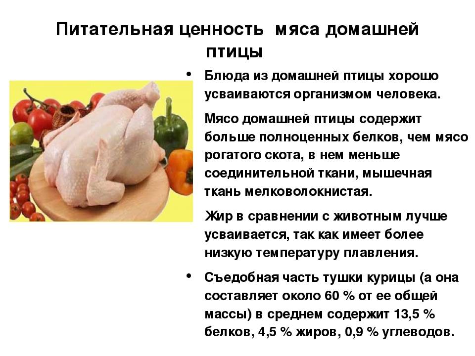 Курица для кормящих мам: полезные свойства, правила употребления и рецепты