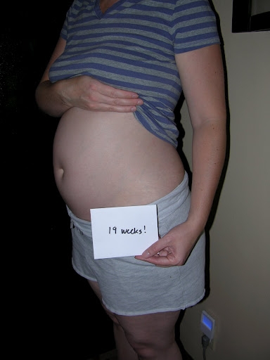 19 неделя беременности: что происходит с малышом и мамой, каковы ощущения женщины и развитие плода?