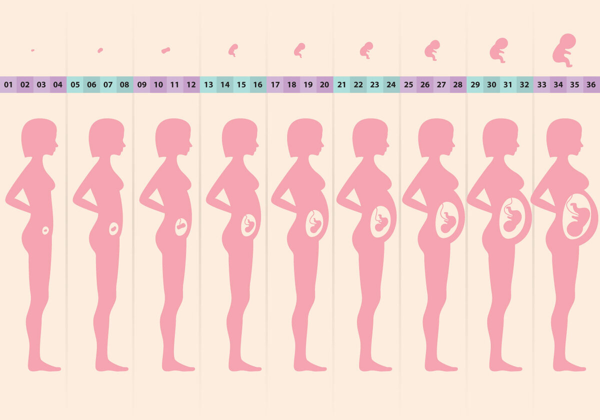 Четвертая беременность: особенности ее течения, как проходят роды