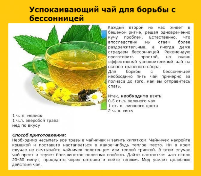 Диета кормящей мамы – что можно кушать при грудном вскармливании (гв) - agulife.ru