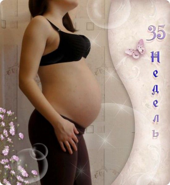 Третий триместр беременности – «интернет-кабинет здорового ребенка»