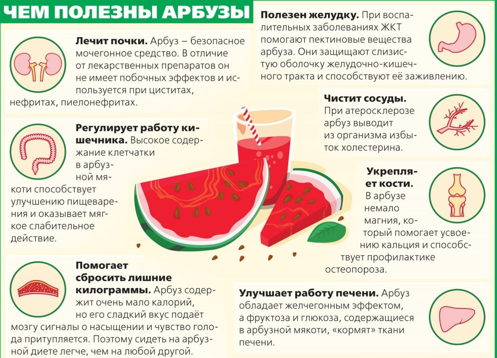 Сладкая ягода — арбуз при беременности