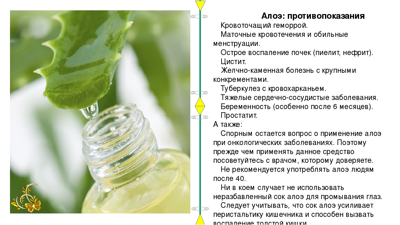 Будьте осторожны! сибирский диетолог раскрыла вред и пользу берёзового сока