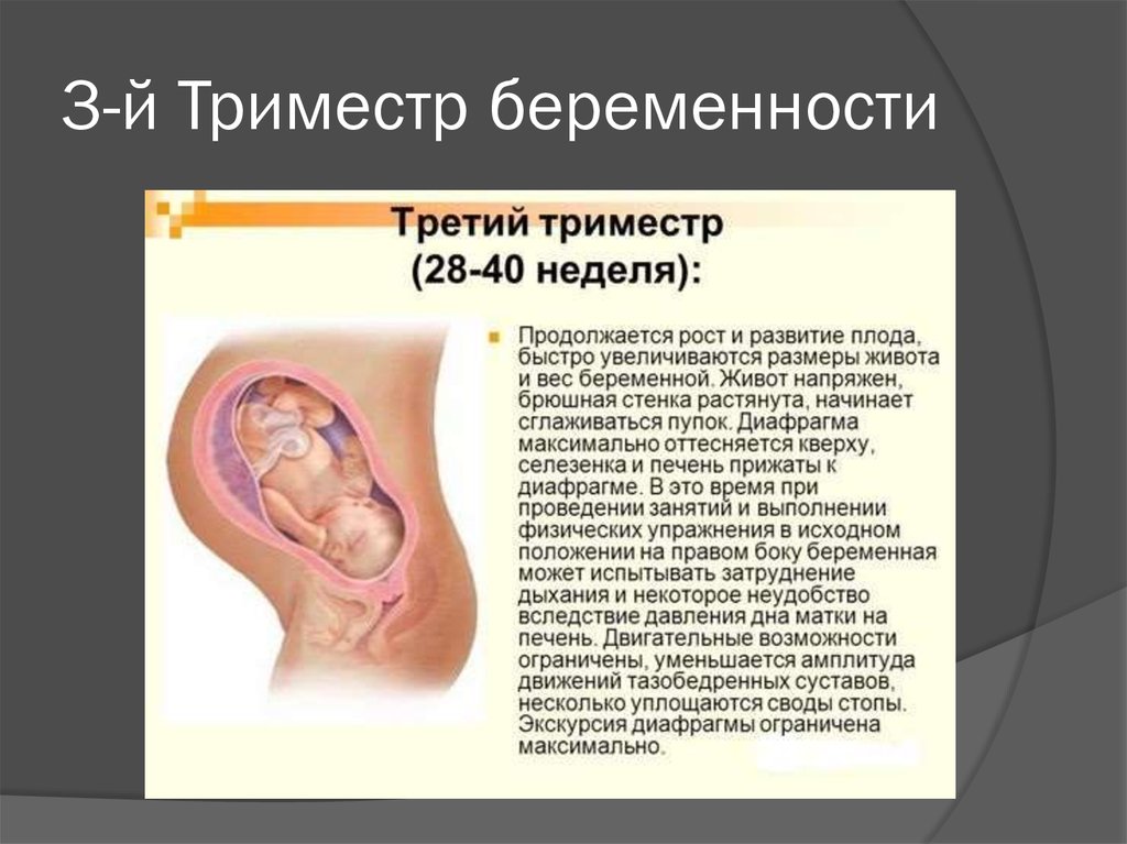 Особенность протекания третьей беременности — беременность. беременность по неделям.