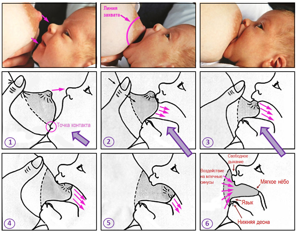Ребенок кусает грудь во время кормления: как отучить