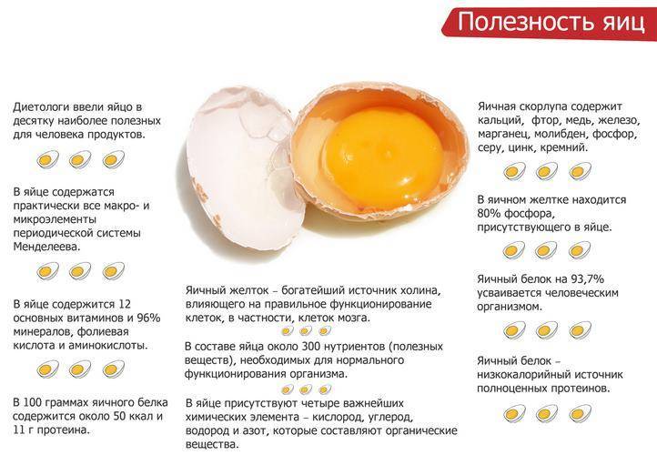 Как вводить яйцо в прикорм ребенку и какие яйца можно давать