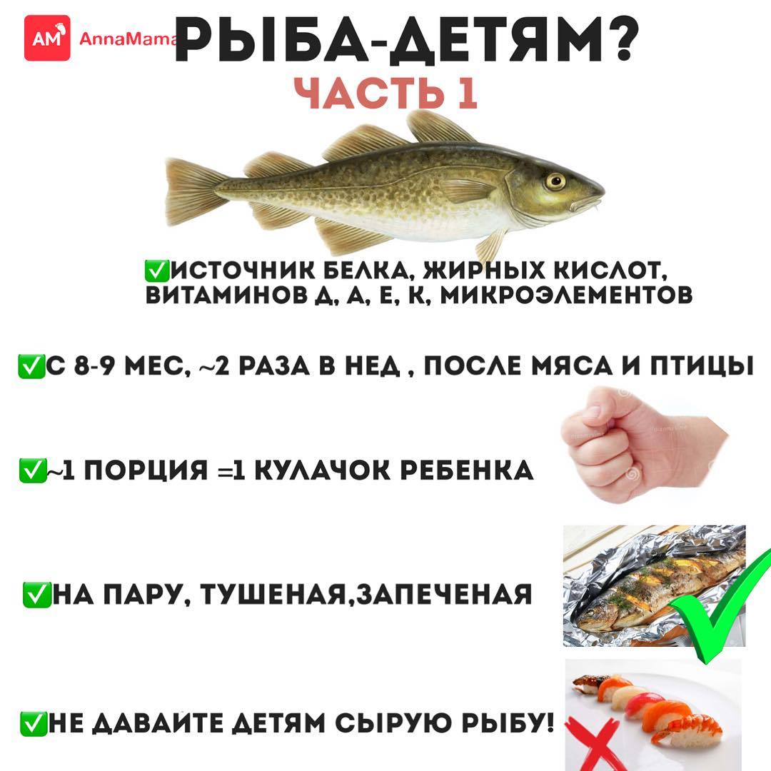 Рыба для прикорма грудничка: подходящие сорта, схема введения