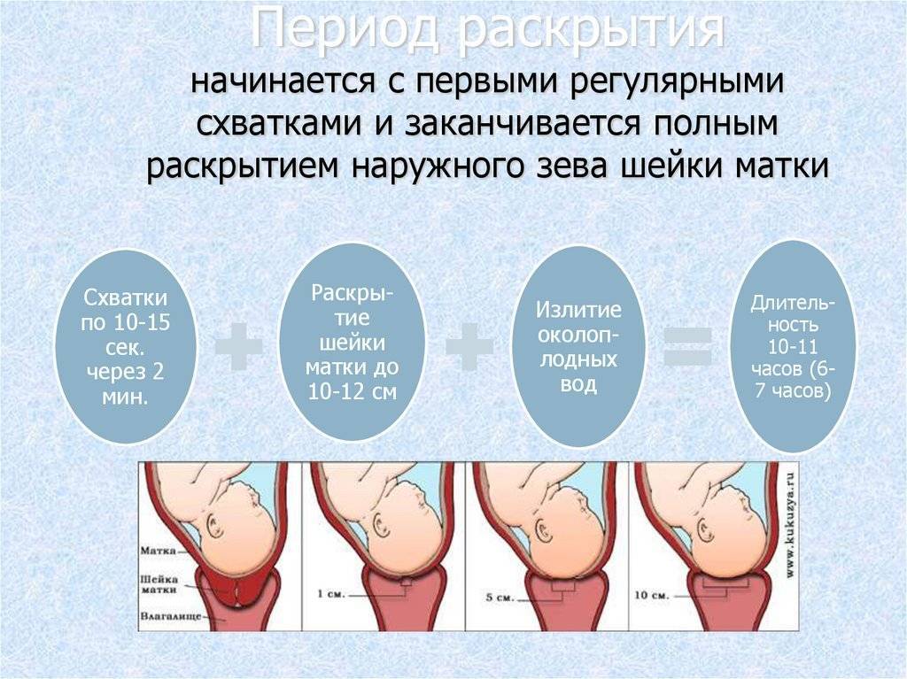 Вторая беременность: как проходит, признаки на ранних сроках, отличие от первой беременности / mama66.ru