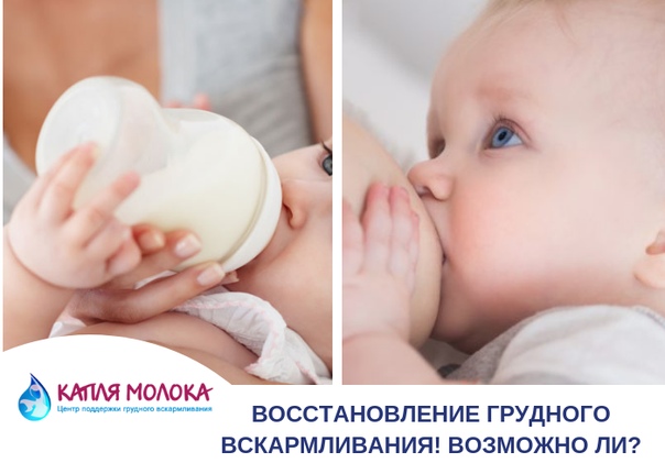 Можно ли белый шоколад при лактации