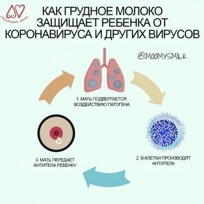 Грудное вскармливание при коронавирусе у мамы: допустимо ли, нюансы лечения в ситуации