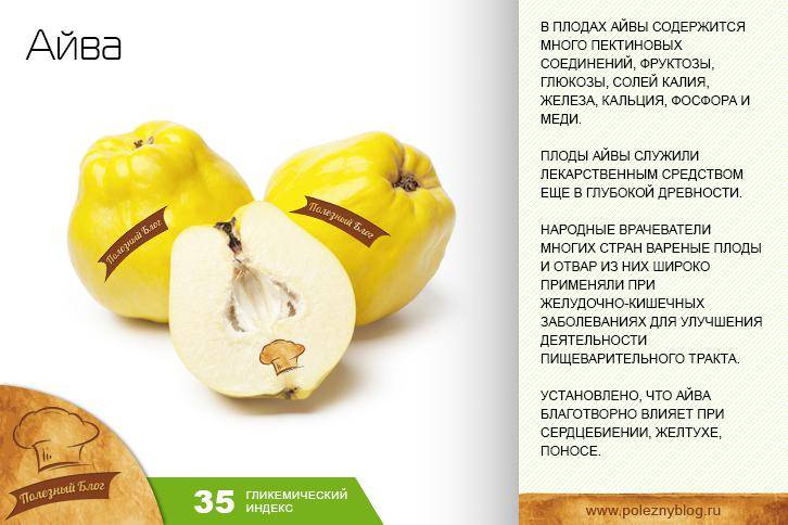Айва — полезные свойства и противопоказания. как едят айву, рецепты. выращивание айвы