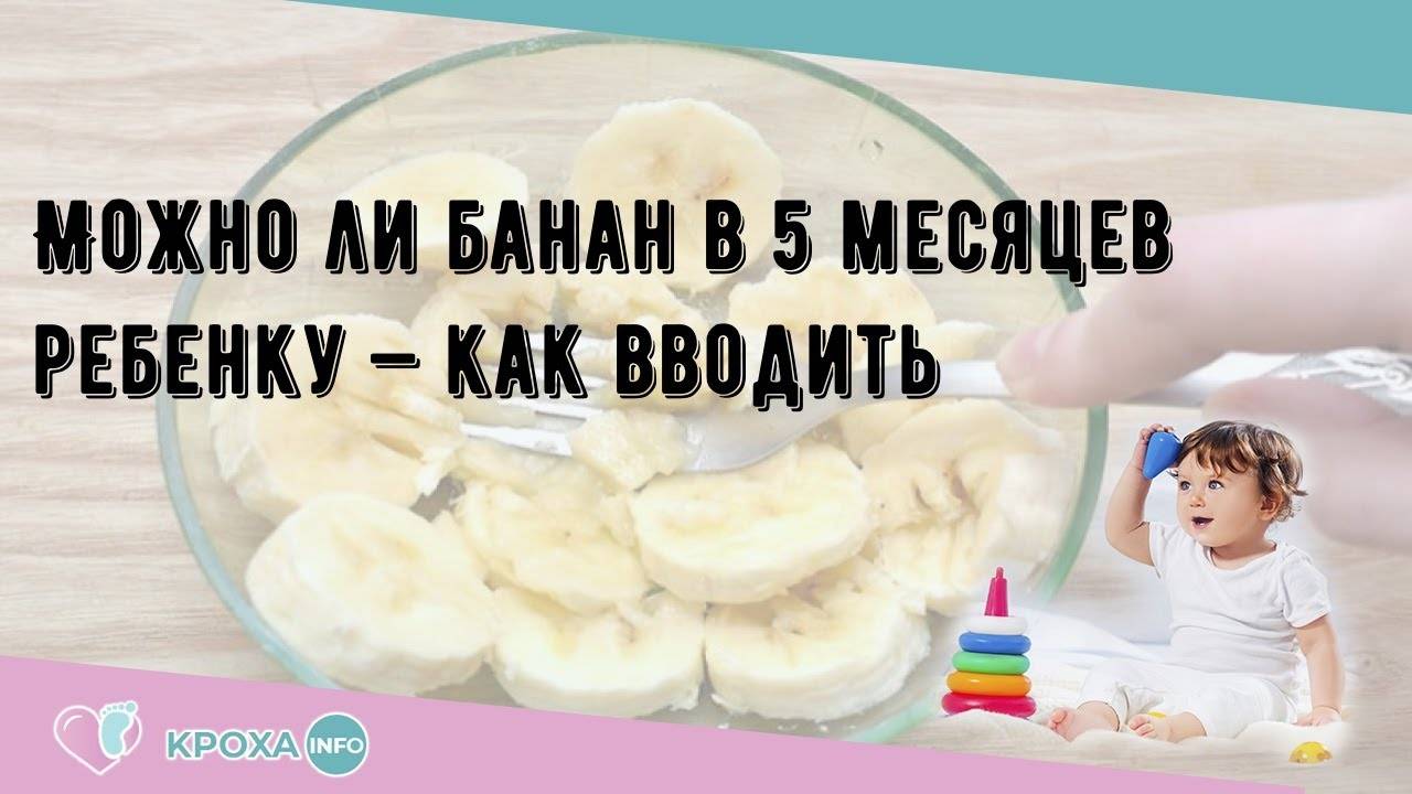 Банан с какого возраста можно давать ребенку. Прикорм в 5 5 месяцев банан. С какого возраста можно давать ребёнку банан. Когда можно давать банан грудничку в прикорм. Как давать банан в 5 месяцев.