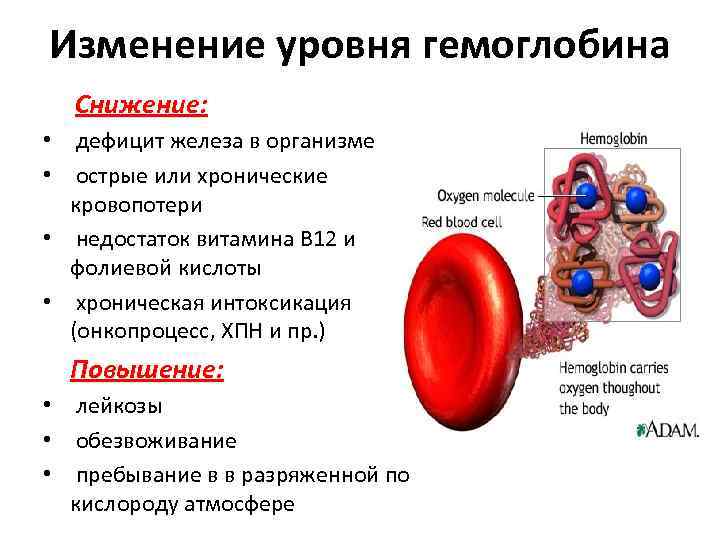 Почему падает гемоглобин: причины и способы лечения анемии