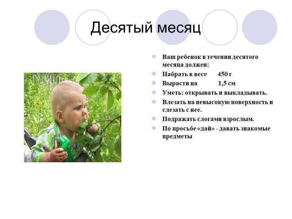 Что ребенок умеет в 10 месяцев: развитие малыша :: syl.ru