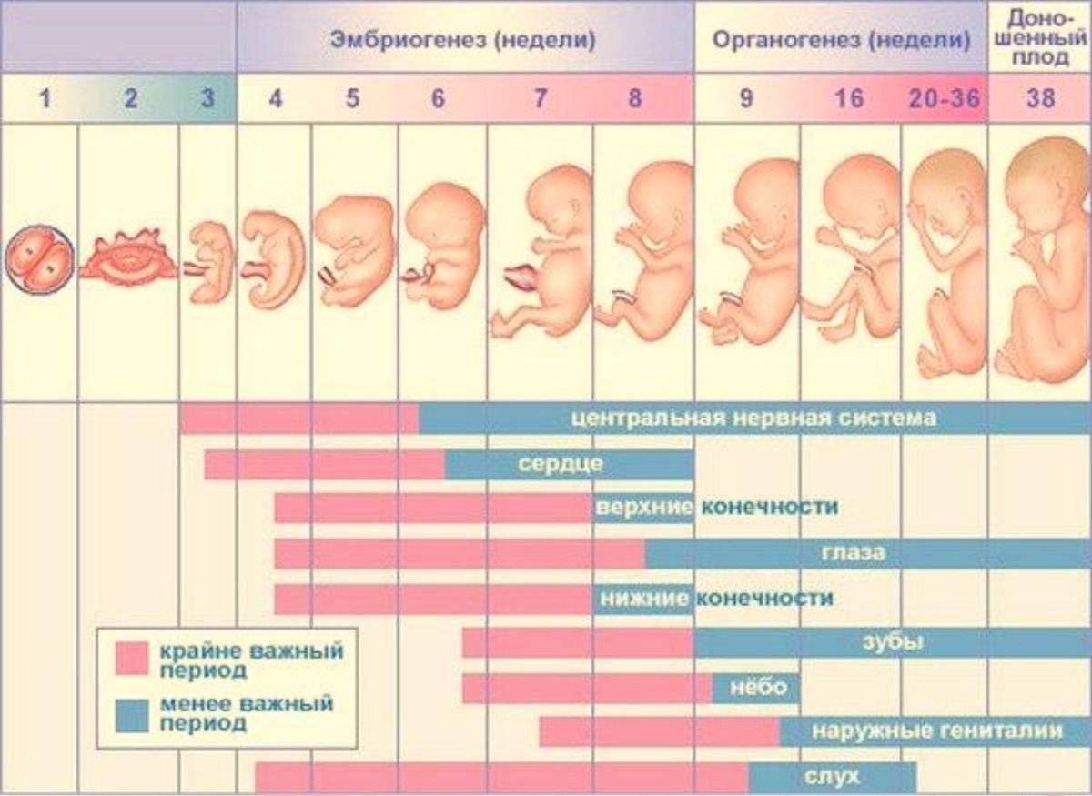 Разговор с животиком. как наладить связь с ребенком во время беременности: игры с малышом в животике
