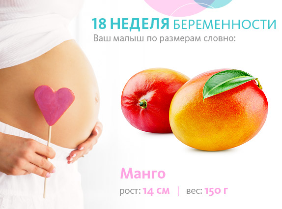 ➤ 18 неделя беременности всё что нужно знать будущей маме