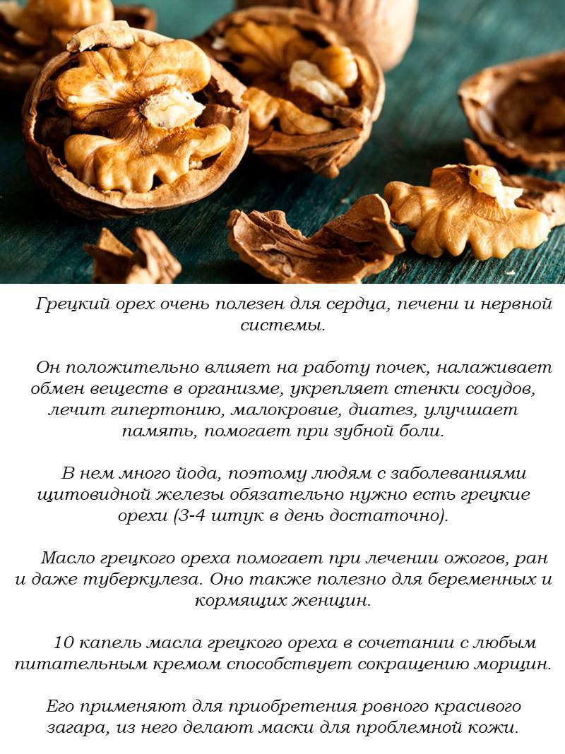 Грецкие орехи для повышения лактации: миф или правда?