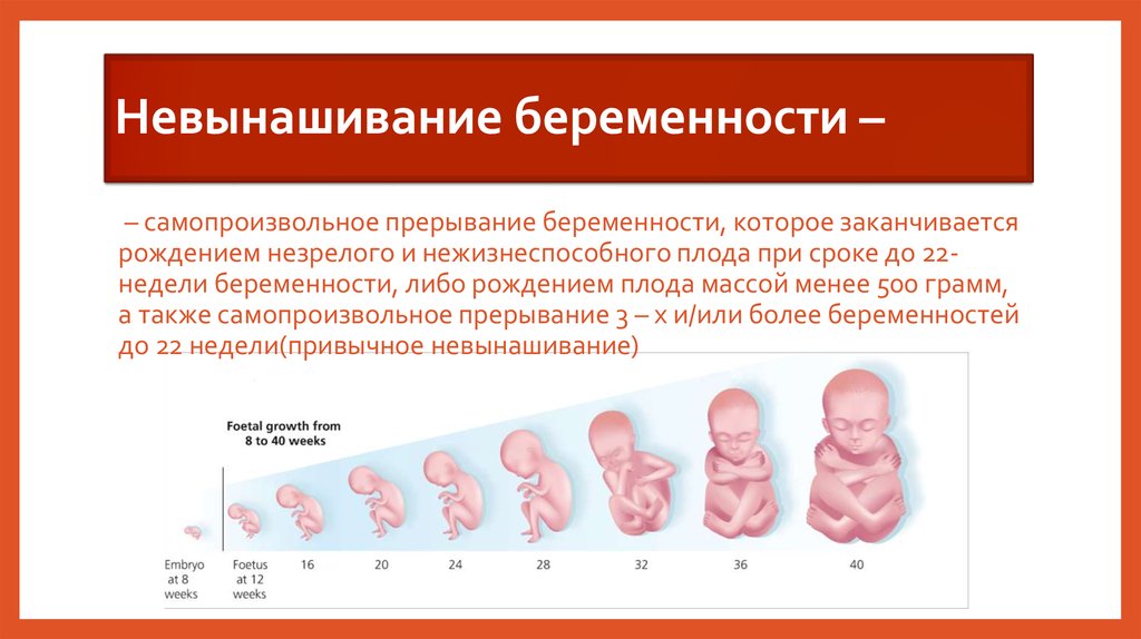 Беременность после выкидыша: вопросы и ответы | аборт в спб