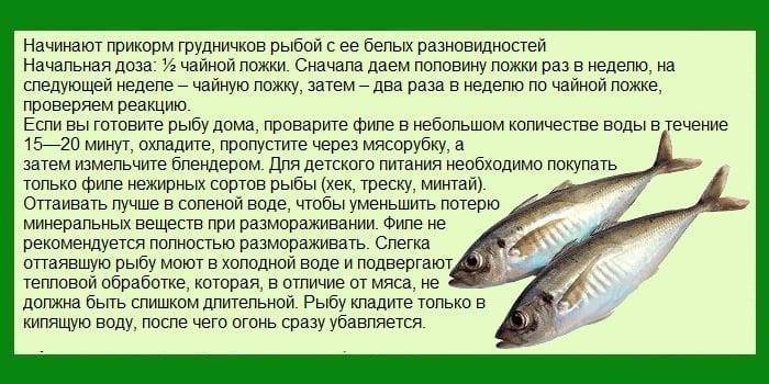 Какую рыбу можно давать детям до года, с 3 лет, в 6 лет, полезные свойства рыбы, как готовить