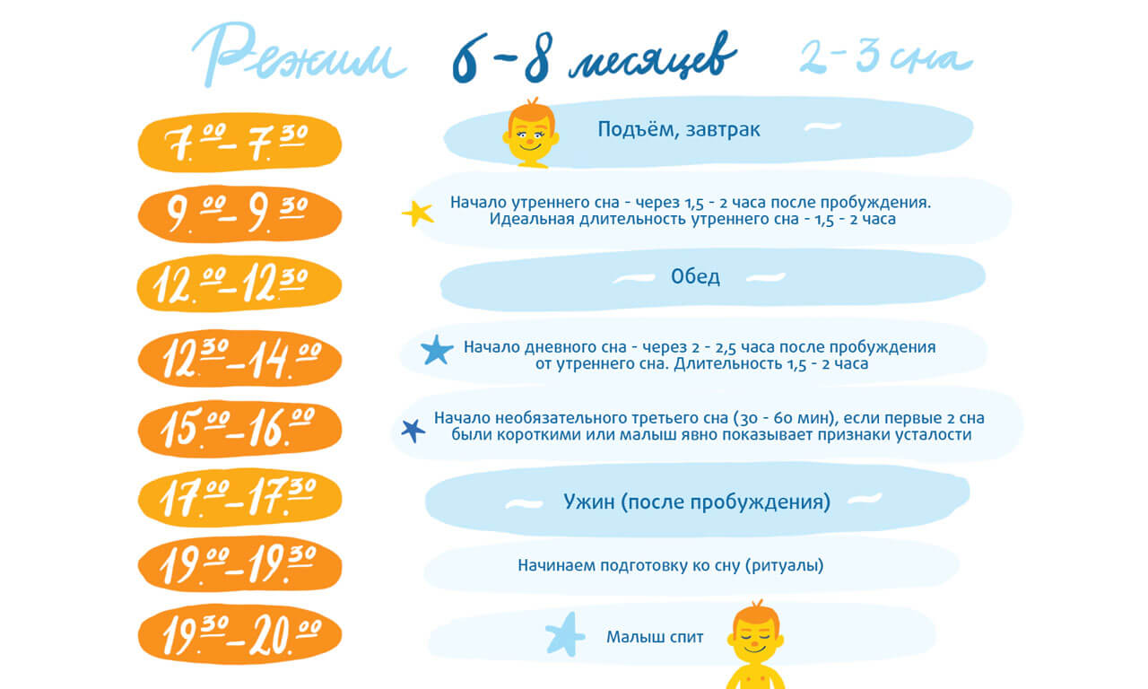 Распорядок дня грудничка по месяцам ????: режим кормления, сна ребенка до года (таблица)