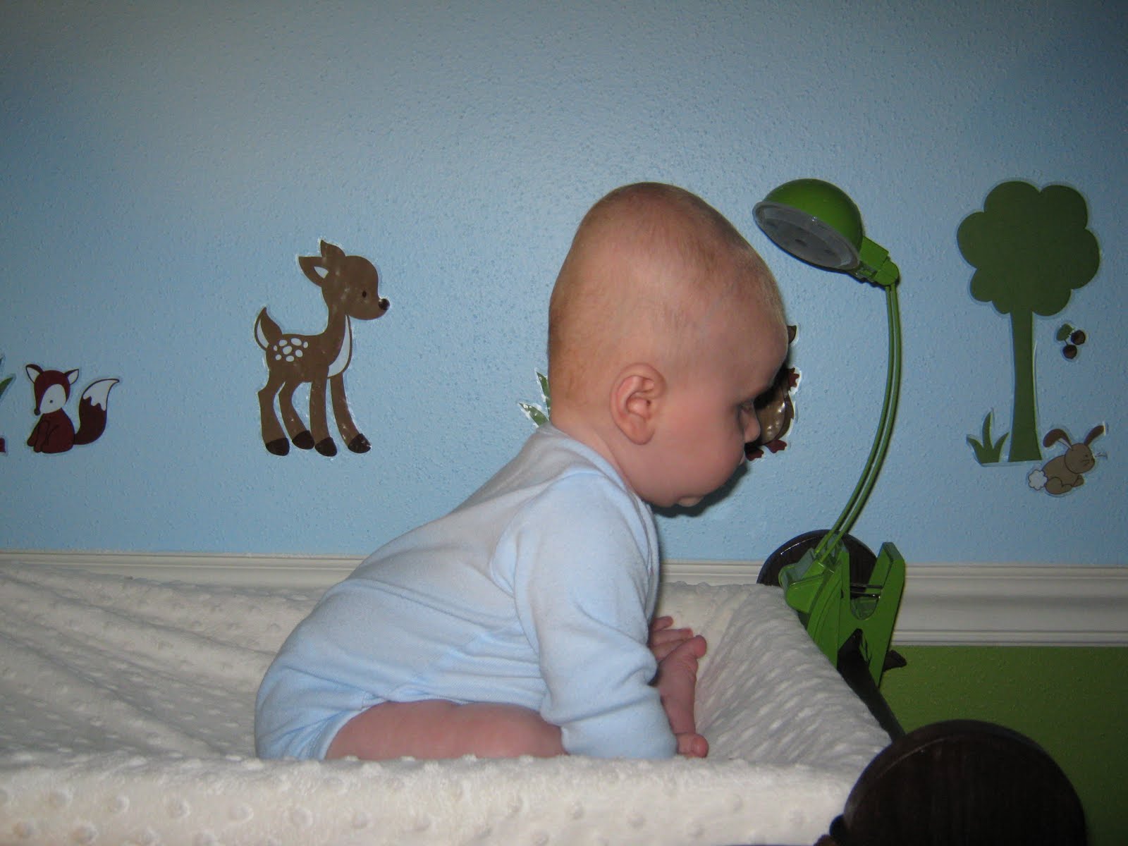 На затылке месяц. Долихоцефалическая, долихоцефалическая форма головы. Долихоцефалическая форма головы у младенца. : Плагиоцефалия, брахицефалия, долихоцефалия. Вытянутый затылок у ребенка.