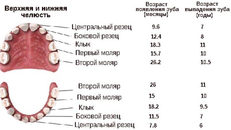Выпадение молочных зубов