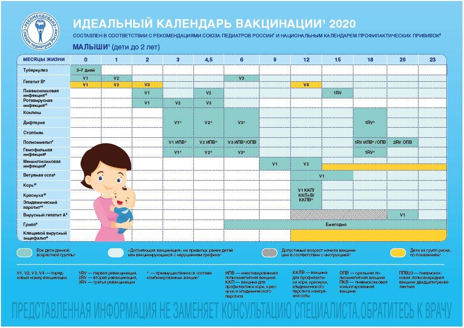Календарь прививок детям до 1 года (в россии)