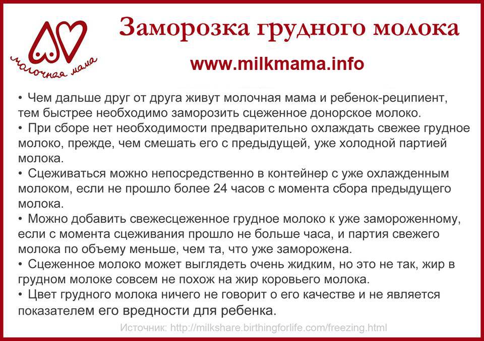 Можно ли и как заморозить грудное молоко? :: syl.ru