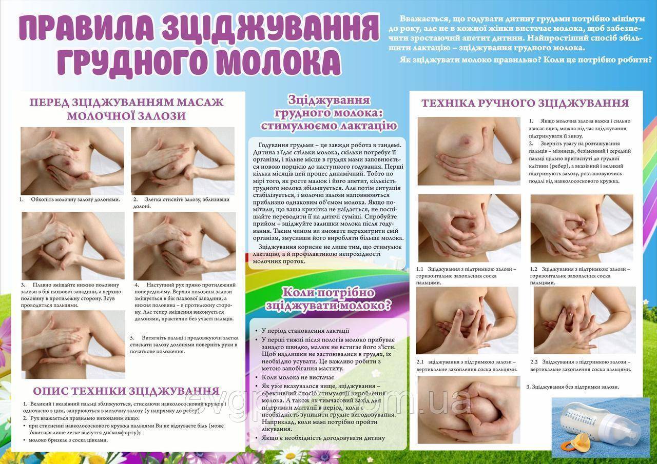 Сцеживание грудного молока: когда сцеживания не нужны и даже опасны - сознательно.ру