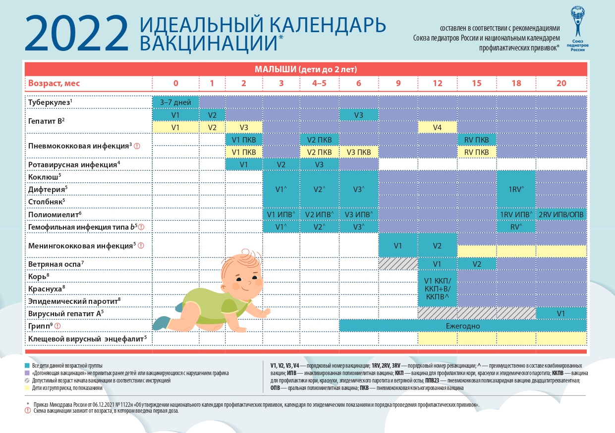 Календарь прививок для ребенка: график вакцинации с года до 3 лет