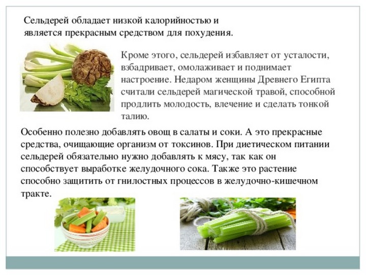 Обогащаем рацион витаминами: правила употребления сельдерея при грудном вскармливании