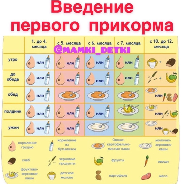 Детское питание с кабачком – выбираем готовое пюре