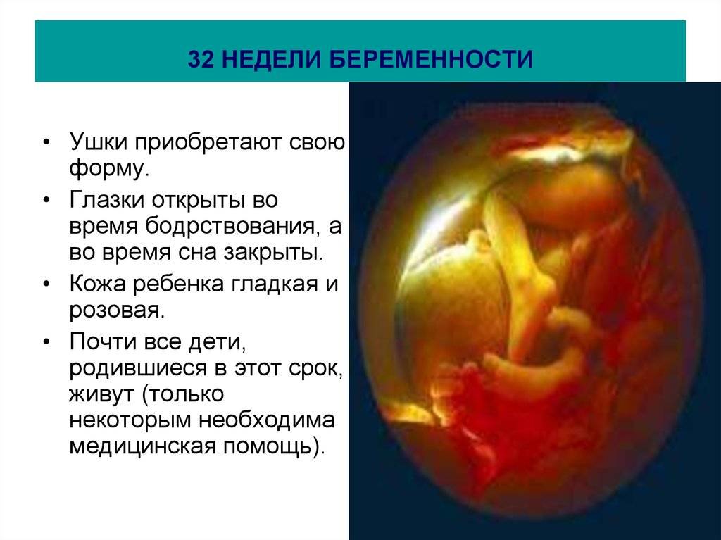 Если ребенок сильно толкается в животе на 32 неделе беременности