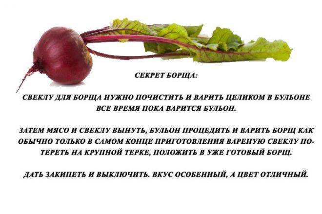 С чего начать прикорм ребенка - основные правила введения прикорма грудных детей | микролакс®