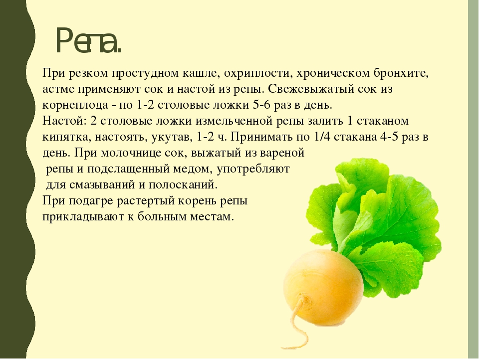 Репа - польза и вред для здоровья, как едят овощ
