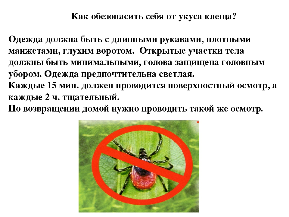 10 главных ошибок при защите от клещей