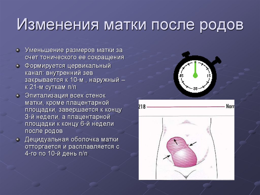 Аудиовыпуск о восстановлении после родов: этапы восстановления