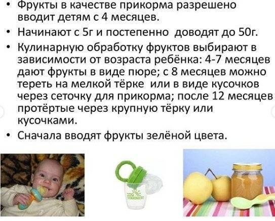 Нужны ли персики в рационе малышей? с какого возраста можно давать ребенку персики - onwomen.ru