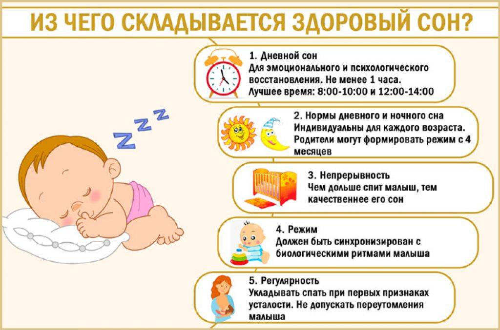 Сколько должен спать ребенок в 6 месяцев? режим дня ребенка в 6 месяцев