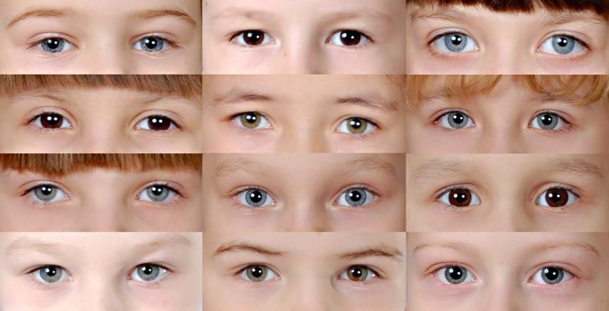 Бледность и цианотичность кожных покровов у ребенка: причины, проявления, диагностика