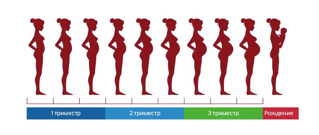 Правильное питание в первый триместр беременности • центр гинекологии в санкт-петербурге