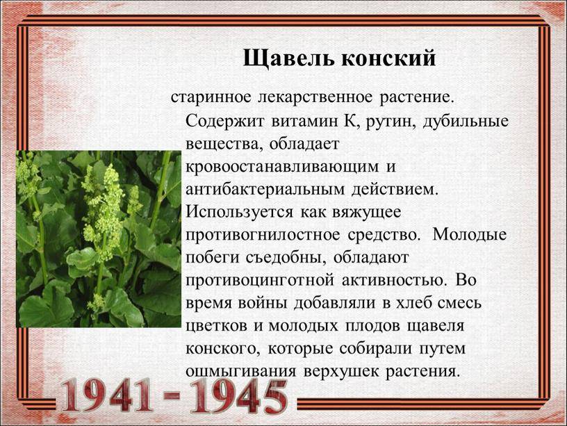 Пяточная шпора ️: симптомы, причины, диагностика и лечение