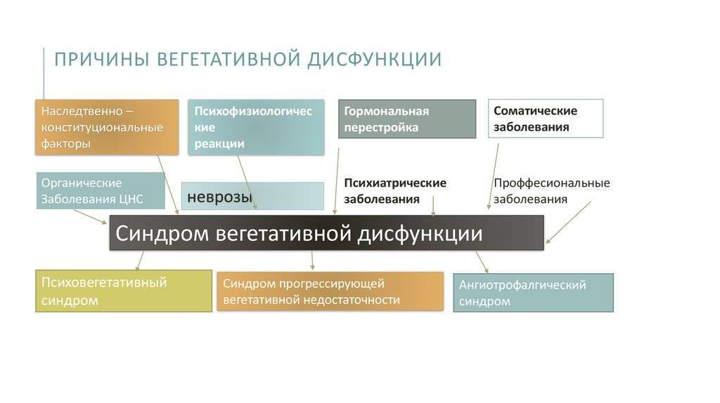 Современная классификация вегетативной дисфункции