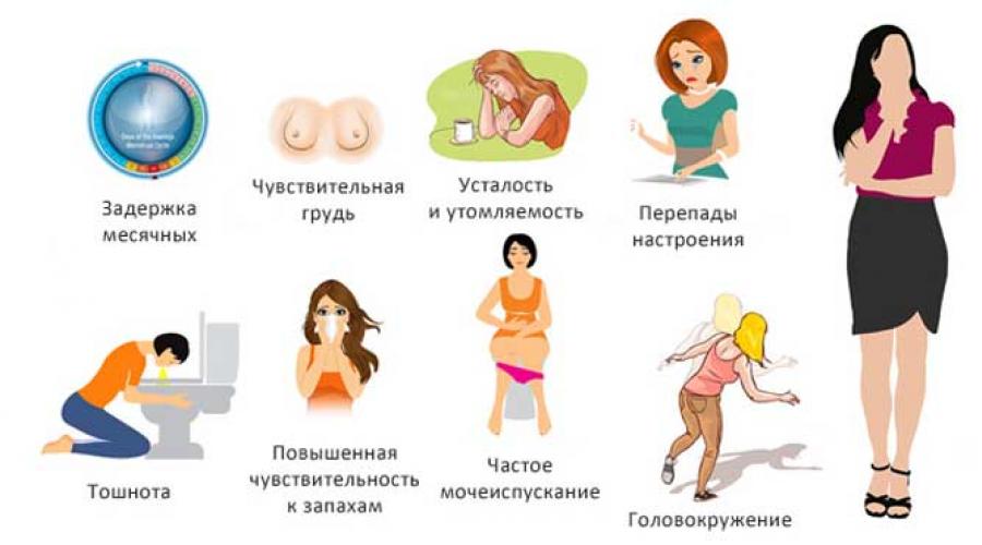Изменения груди при беременности. Признаки беременности. Проявление беременности. Симптомы беременности. Начальные симптомы беременности.