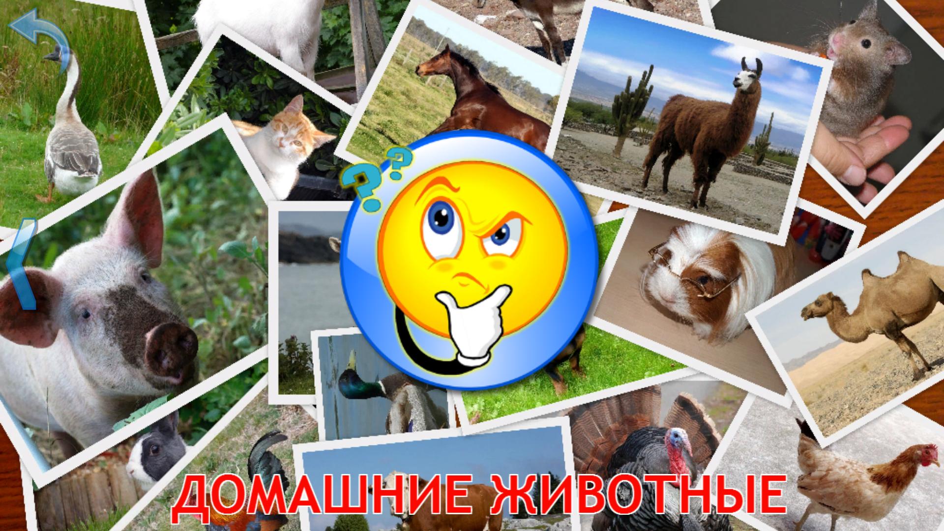55 животных на английском для детей с произношением